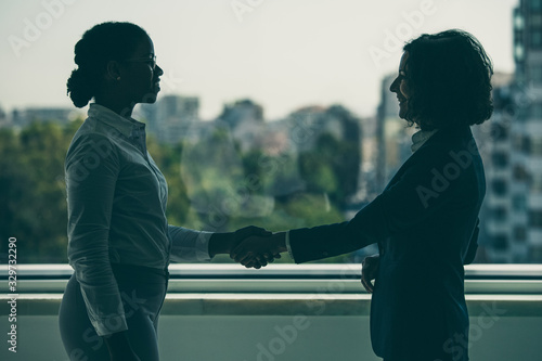 Friendly business partners greeting each other. Business women standing near office window and shaking hands. Partnership concept