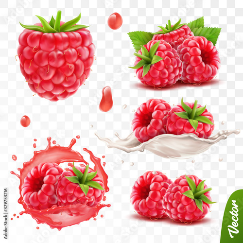 3d realistic transparent isolated vector set, whole and slice of raspberry, raspberry in a splash of juice with drops, raspberry in a splash of milk or yogurt