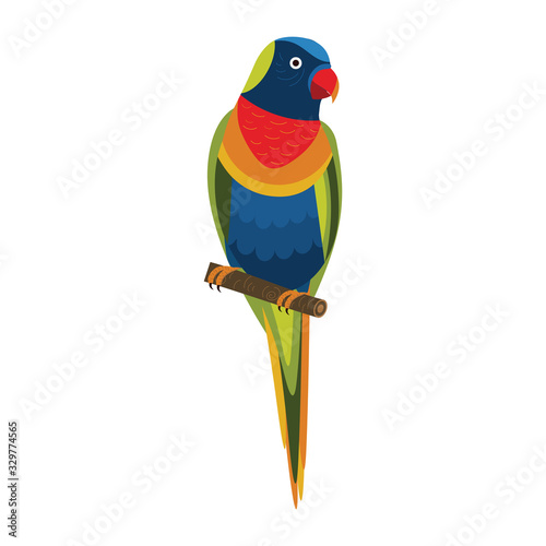 Rainbow Lorikeet Exotic Parrot in Flat Design