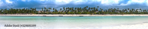 panoramic view of the beach in zanzibar with palm trees and old fishing boats