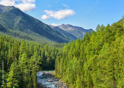 Subalpine coniferous taiga in Siberian mountains