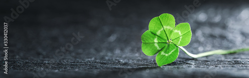 Bright green good luck four leaf clover.