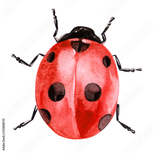 Watercolor illustration of ladybug in red ink with black spots