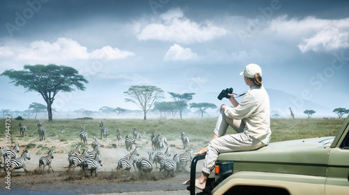 Woman tourist on safari in Africa, traveling by car in Kenya and Tanzania, watching zebras and antelopes in the savannah.