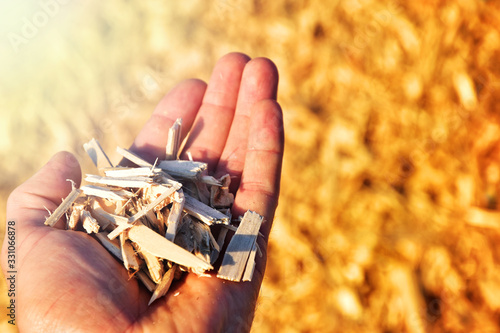 wood chips in hand renewable heating source fuel