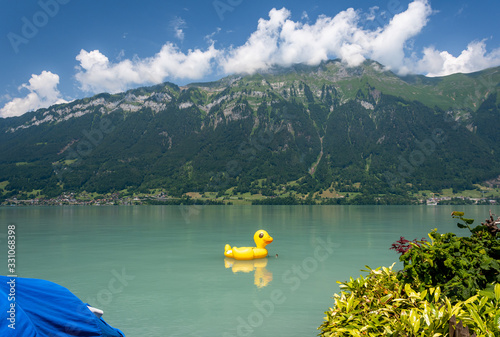 View of Brienz lake with clear turquoise water. Funny inflatable yellow rubber ducks on the lake