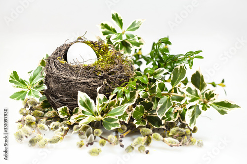 Easter Egg in bird nest with green moss spring foliage background leaves, bears catkins, willow branch on white 