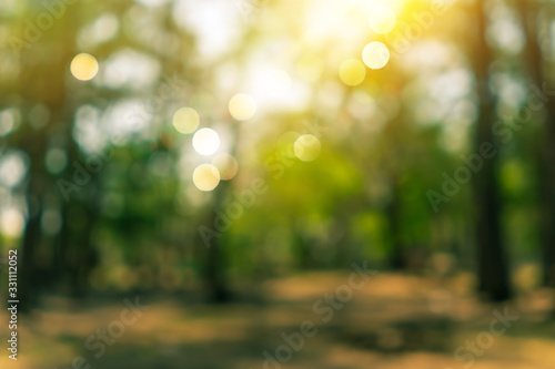 Blur nature bokeh green park by beach and tropical coconut trees