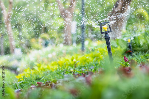 Amazing nature view of sprinkler on blurred greenery background in garden and sunlight with copy space using as background natural green plants landscape, ecology, fresh wallpaper concept.