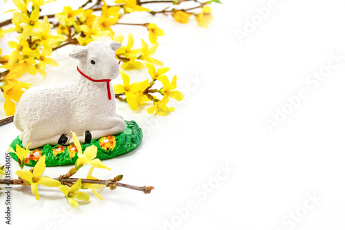 Wielkanocne tło - baranek na tle żółtych kwiatów forsycji