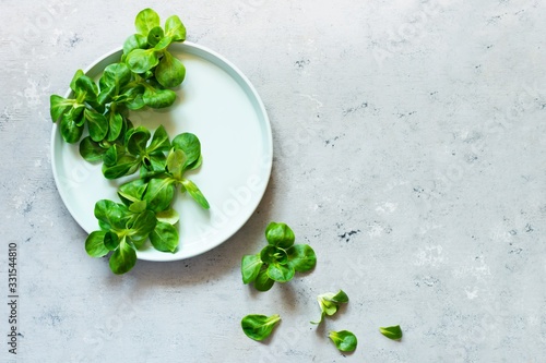 Fresh Juicy Green Corn Salad (lamb's lettuce, Valerianella locusta) on a plate on a blue background. The concept of a healthy diet. Vegetarianism, close-up. Selective focus. Copy space. Go vegan.