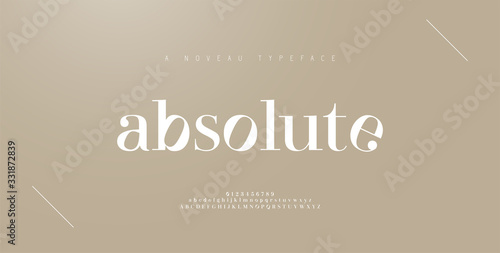 Elegant alphabet letters font and number. Classic Lettering Minimal Fashion Designs. Typography fonts regular uppercase and lowercase. vector illustration