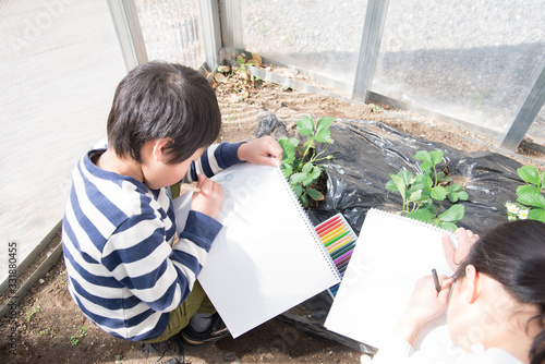 写生する小学生の子供 