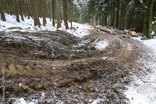 Tourist trail destroyed while skidding of wood, Masyw Snieznika, Sudety, Poland