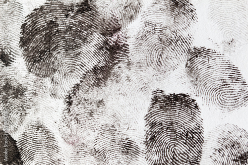 fingerprints on a white background