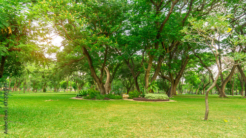 Smooth green grass lawn in good care maintenance garden, flowering plant, shrub and bush under shading the Rain oak trees in a park