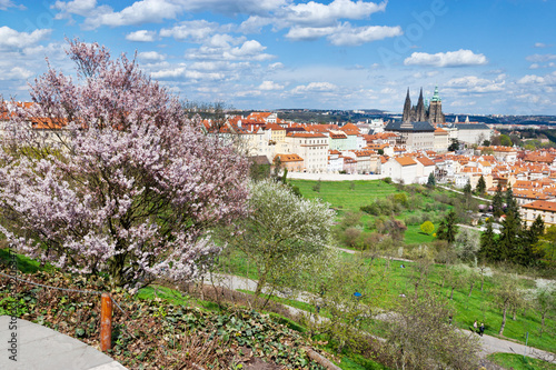 Prague castle with saint Vitus cathedral and Lesser town, Prague (UNESCO), Czech republic