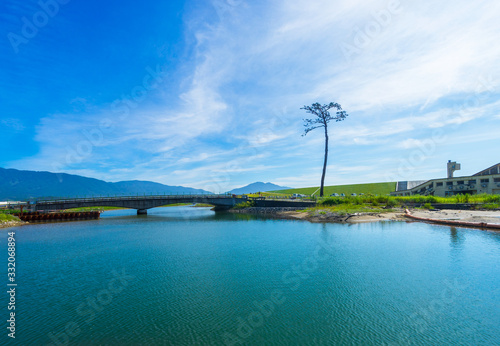 津波に負けなかった一本の松 (日本 - 福島 - 陸前高田市)