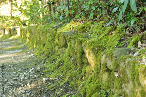 Image of Close up of moss-grown stone wall