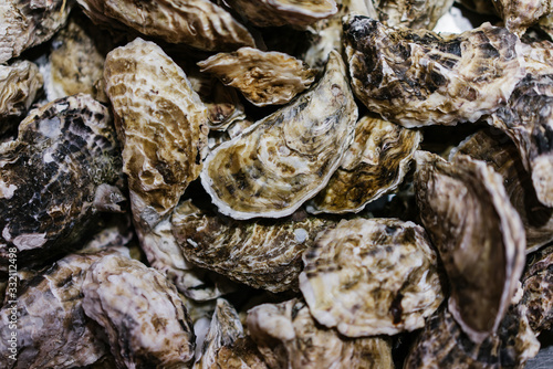 closed oysters, fresh oyster shell, mollusks in seafood market, sea restaurant, expensive fresh food, dish restaurant menu