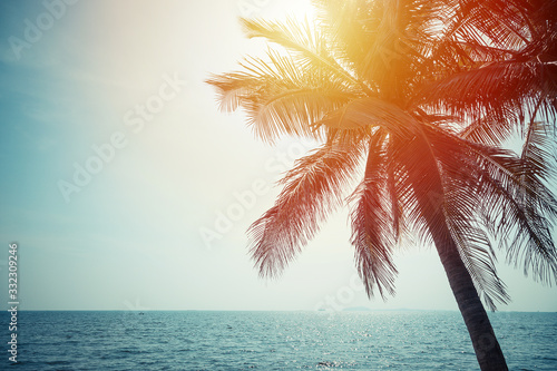 Coconut, sky and sea in sunny day on vacation holiday