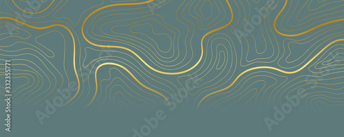 Luxury gold abstract topographic map background with golden lines texture, 17:9 wallpaper design for fabric , packaging , web, geographic grid map vector illustration.