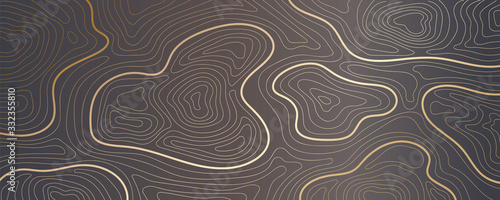 Luxury gold abstract topographic map background with golden lines texture, 17:9 wallpaper design for fabric , packaging , web, geographic grid map vector illustration.