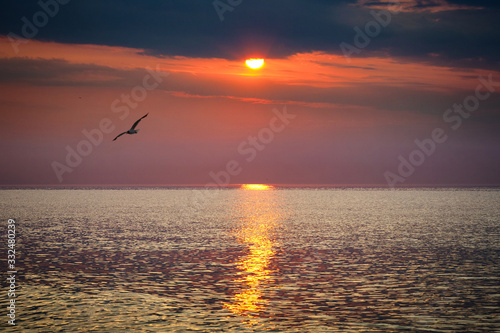 A seagull flies over the sea. Beautiful dawn sunrise at sea. Seascape.