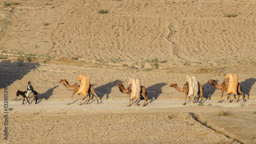 \Camel caravan in the valley.