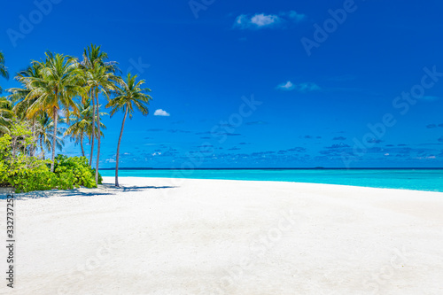 Summer beach landscape. Tropical island view, palm trees and amazing blue sea. Amazing beach scenery, white sand, exotic travel destination. Maldives beach landscape, idyllic landscape