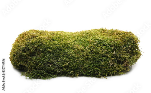 Green moss hill isolated on white background