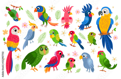 Set of tropical parrots characters
