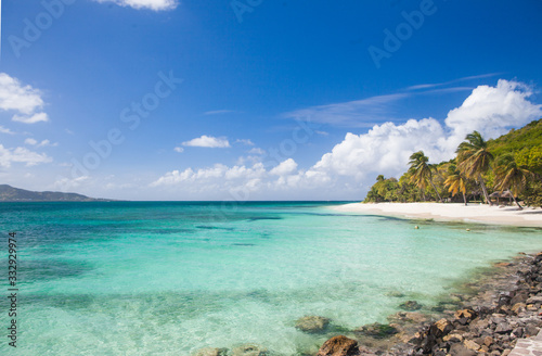 Exotic tropical beach with palm trees and white sand, Caribbean Petit Saint Vincent Island 