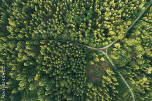 Aerial view of roads intersecting in forest