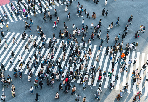 Shibuya crossing