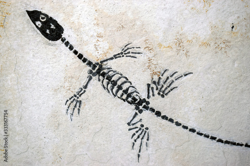Reptil fosil