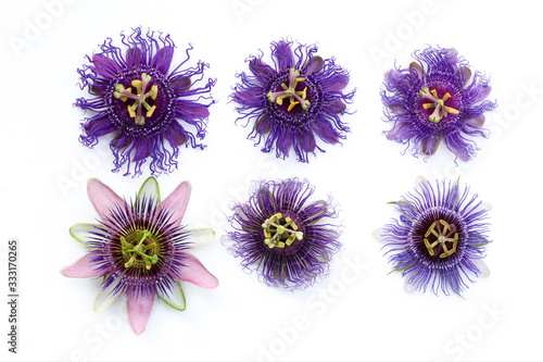 Beautiful compilation of six different passiflora - Passion Flowers isolated on a White sheet