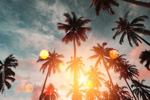 Odbitkowa przestrzeń tropikalny drzewko palmowe z słońca światłem na nieba tle.