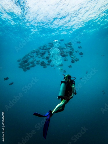 Scuba Diver ascending to observe a school of fish