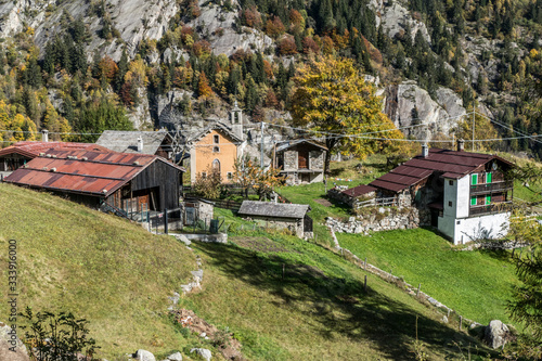 small pasture above Macugnaga