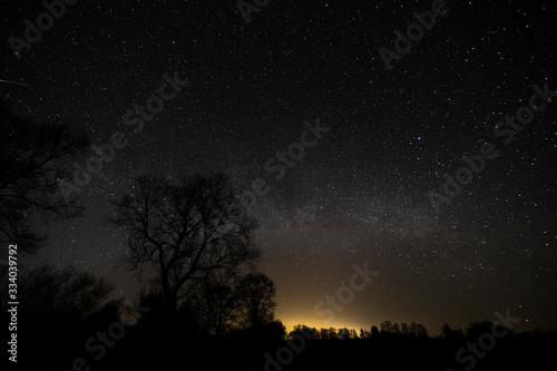 Landscape at night, sky full of stars with tree silhouette (high ISO photography)