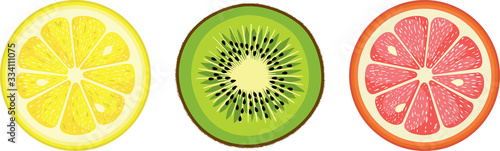 Set of kiwi and citrus round slices