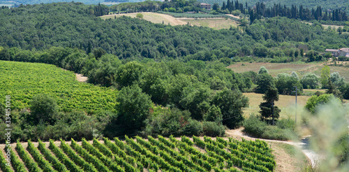 Paesaggio collinare con coltivazioni colline ed alberi a Monteriggioni vicino Siena in Toscana, Italia