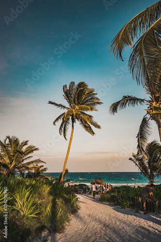 Sunset view in Tulum at tropical coast. Palm tree and beach in Quintana Roo, Mexico.