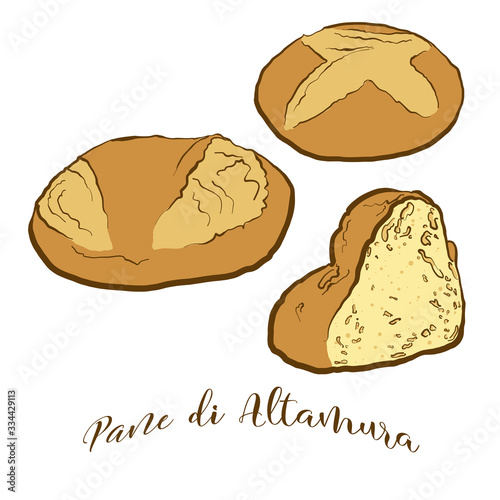 Colored drawing of Pane di Altamura bread