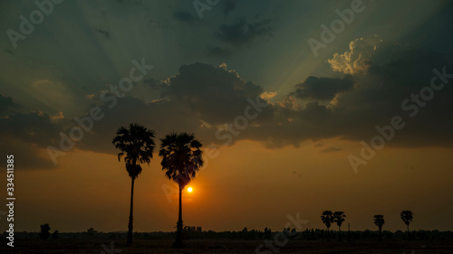 The evening sun shone through the sugar palm before leaving the sky.