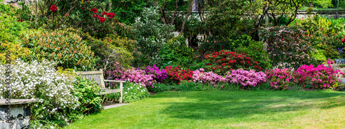 Beautiful Garden with blooming trees during spring time, Wales, , banner size