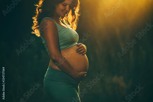 Adult pregnant woman on against the backdrop of the sunset in the park. 9 months of pregnancy and childbirth.