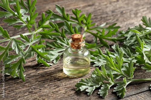 A bottle of wormwood essential oil with fresh Artemisia Absinthium twigs