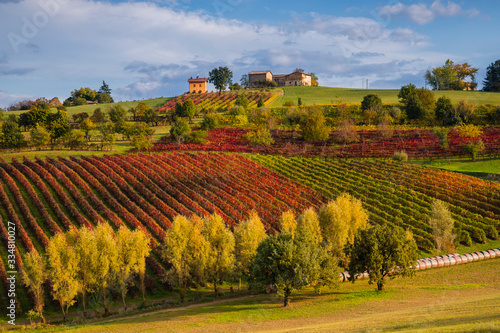 Vineyards and hills of Lambrusco Grasparossa in autumn, Castelvetro, Modena, Italy